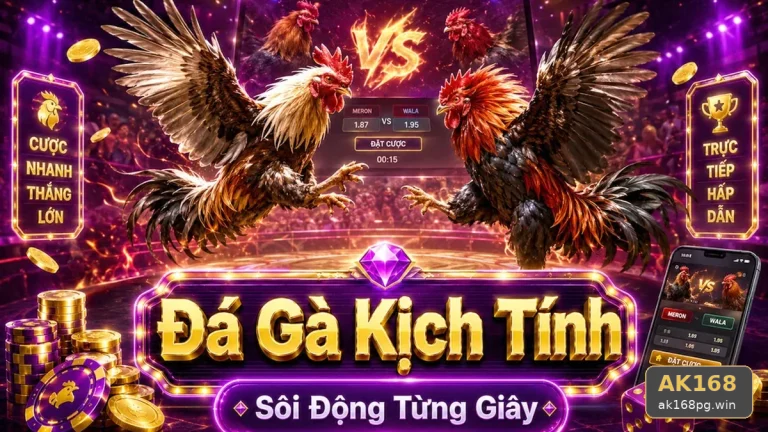 Giải Thích Biểu Tượng, Tính Năng Và Quy Trình Đá Gà AK168 Trên Điện Thoại Tại ak168pg.win